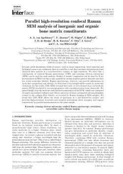 as a PDF