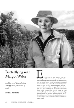 Butterflying with Margot Waltz