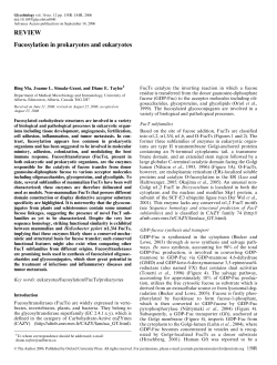 REVIEW Fucosylation in prokaryotes and eukaryotes