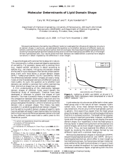 Molecular Determinants of Lipid Domain Shape