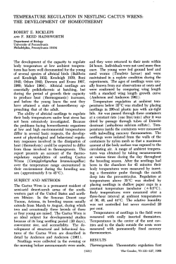 Temperature Regulation in Nestling Cactus Wrens: The