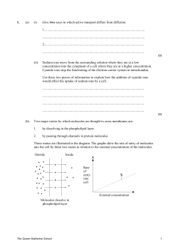1. (a) (i) Give two ways in which active transport differs from diffusion
