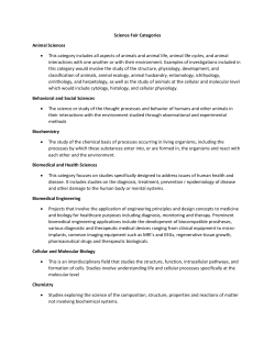 Category Descriptions