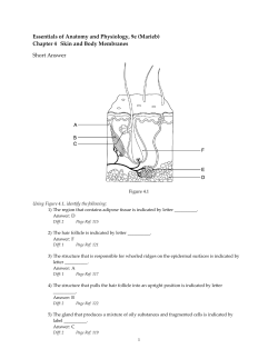 Essentials of Anatomy and Physiology, 9e (Marieb)