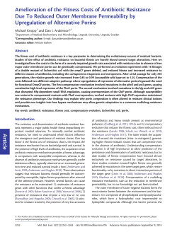 Article Amelioration of the Fitness Costs of Antibiotic Resistance Due