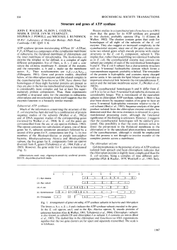 Structure and genes of ATP synthase