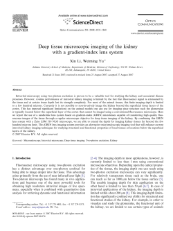 Deep tissue microscopic imaging of the kidney with a gradient