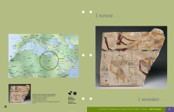 I notice. . . I wonder. . .