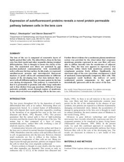 Cell-cell communication in the lens core