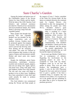 Sam Charlie`s Garden