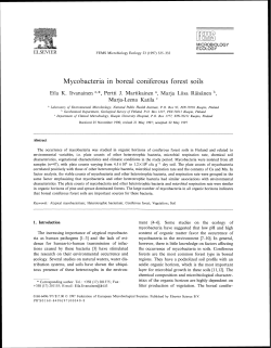 Mycobacteria in boreal coniferous forest soils