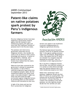 Patent-like claims on native potatoes spark protest by Peru`s