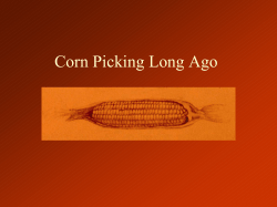 Corn Picking Long Ago - Kansas Historical Society