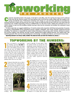 Top Working - Citrus Tree Source