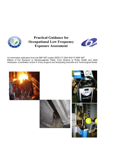 Practical Guidance for Occupational Low Frequency Exposure