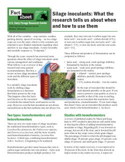 silage inoculents_web version.indd