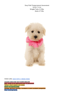 Sissy Pink Temperament Assessment D.O.B: 7.3.16 Weight:7wks2