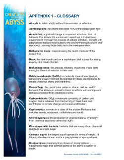 COTA Appendix 1 - GLOSSARY