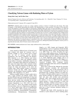 Classifying Taiwan Lianas with Radiating Plates of Xylem