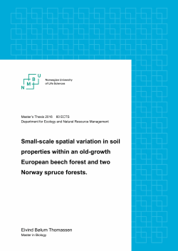 Small-scale spatial variation in soil properties within an old