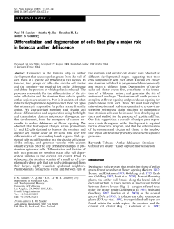 Differentiation and degeneration of cells that play a major role in