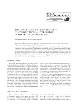 THE GENUS DAPHNIOLA RADOMAN, 1973