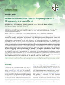 Patterns of root respiration rates and