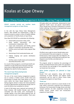 Cape Otway Koalas Spring 2016 Fact Sheet
