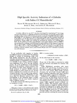 High Specific Activity Iodination of v-Globulin with Iodine