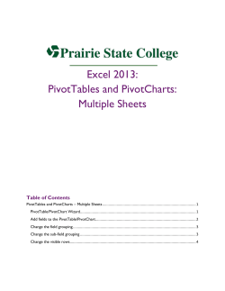 Excel 2013: PivotTables and PivotCharts: Multiple Sheets
