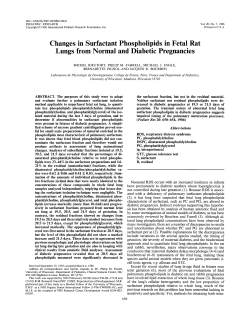 Changes in Surfactant Phospholipids in Fetal Rat Lungs