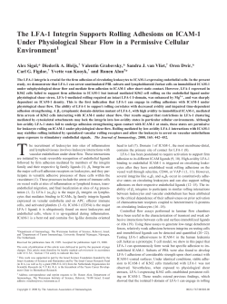 The LFA-1 Integrin Supports Rolling Adhesions on ICAM