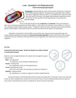 Bacteria Observation Lab