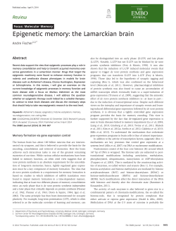 Epigenetic memory: the Lamarckian brain