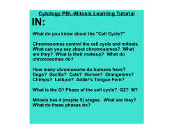 Cytology PBL-Mitosis Learning Tutorial
