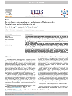 Targeted expression, purification, and cleavage of fusion proteins