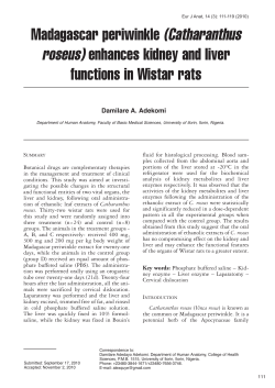Revista Anatomy 14.3 Diciembre_Revista Anatomy ok.qxp