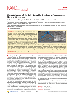 Characterization of the Cell&minus;Nanopillar Interface by Transmission