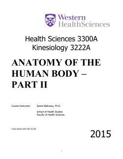 anatomy of the human body &ndash; part ii 2015