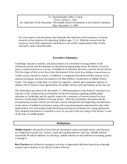 Executive Summary Definitions
