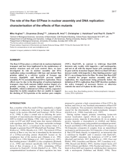 The role of the Ran GTPase in nuclear assembly and DNA replication