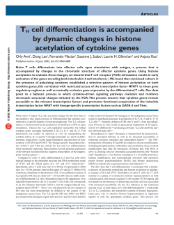 TH cell differentiation is accompanied by dynamic changes in