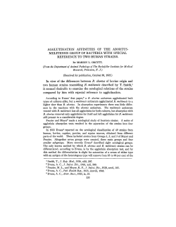 AGGLUTINATION AFFINITIES OF THE ABORTUS