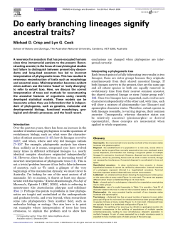 Do early branching lineages signify ancestral traits?