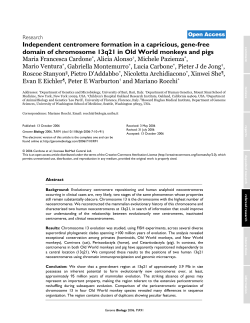 Independent centromere formation in a capricious, gene