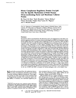 Mouse Complement Regulatory Protein Crry/p65 Uses the