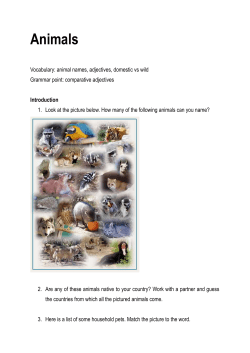 Animals
