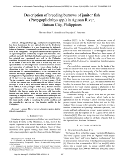 Description of breeding burrows of janitor fish (Pterygoplichthys spp