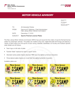 Sports-Themed License Plates