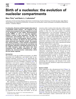 Birth of a nucleolus: the evolution of nucleolar